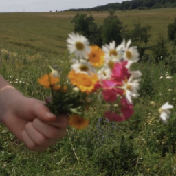 ˖ ❀ ✧˚. ⋆