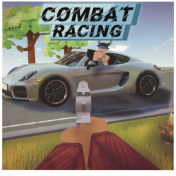 Combat Racing