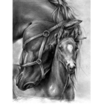 honey side stable