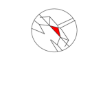 Anomaly Investigation Group