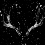 Marked By Antlers.