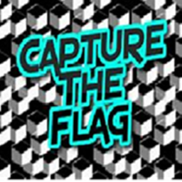 CAPTURE DE FLAG