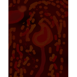 The flame wings