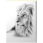 Lion Shadow Clan