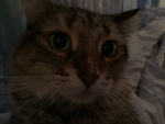 Bombastic side eye 12322