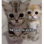 meowowoww