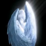 ᅠᅠᅠᅠᅠᅠᅠᅠᅠᅠᅠᅠᅠ .