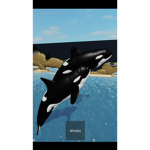 SeaWorld Stadiums