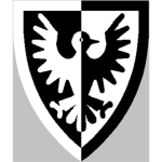 The Black Falcon Kingdom (BFK)