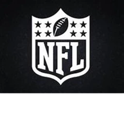 New Orlean Saints icon