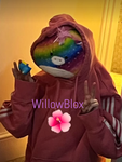Willow mia