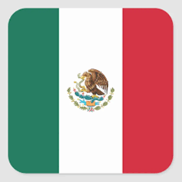 MY MEXICAN WORLD