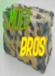 Mold Bros