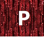 P - Security