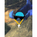 mY LiTTLe sKY *blub*