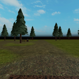 Go to the park and walk around
