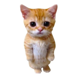 Jump To Meet Ay Mi Gatito