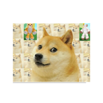 There is a new doge staring cat and pop cat in …