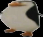 Penguino Games
