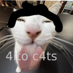 4lto C4ts