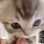 pixx's playmatez !!
