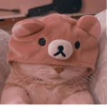 Bearra