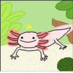 relaxed axolotl