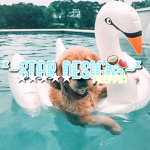 -Star designs-