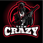 CRazy Kid gamers