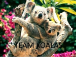 TEAM KOALAS