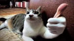 Laregate Studios Group Thumbnail