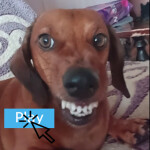 DOG THE HORROR (NEW UPDATE!)