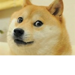 The Almighty Doge