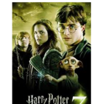 {~Harry Potter~}