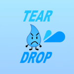 Team Teardrop