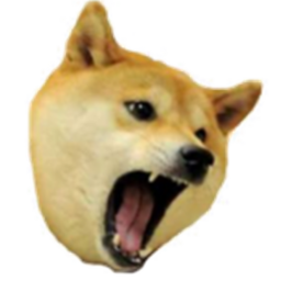Doge Hangout! (watch out for dangerous doge)