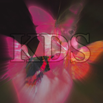 •KDS•