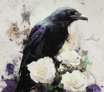 煤 ¡ BlackCrow ! 頹