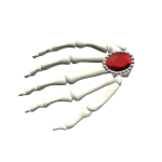 Cursed Skeleton Hand: Ruby