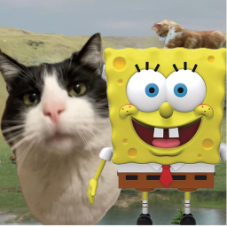 Howie Meowie and Sponge world