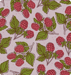 ~|Raspberrys fan group~|