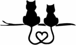 My Katzen