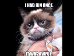Grumpy cat fam group