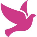 All birds army