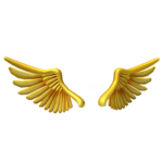 Trade.Inc.Co