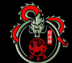 Riding dragons