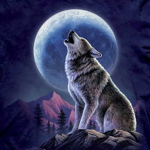 "Midnight Wolves"