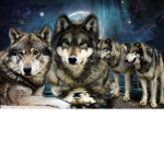 Wolf Pack Team #1
