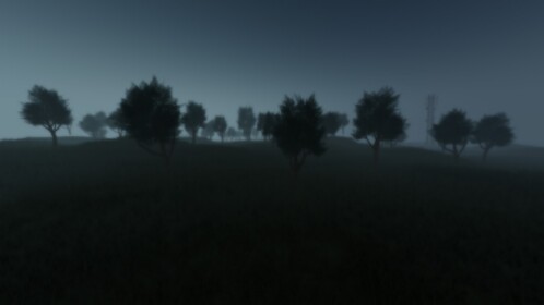 The Island