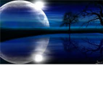 Moonlight Model's